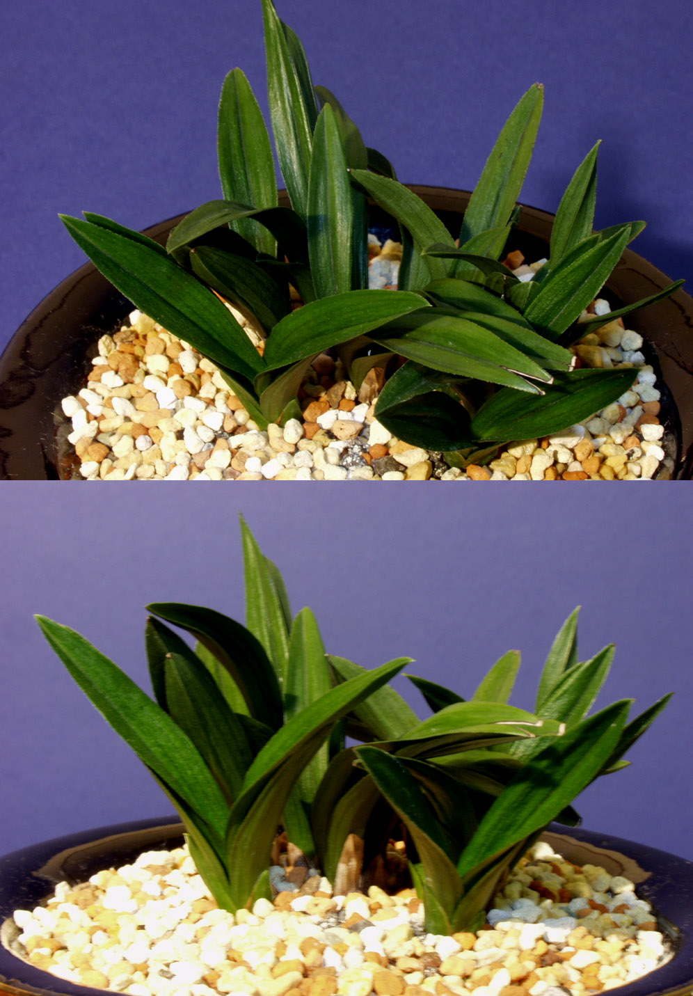 ������ ū������ �� �� �ֽ��ϴ�.