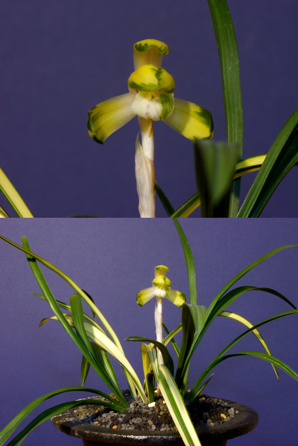 ������ ū������ �� �� �ֽ��ϴ�.