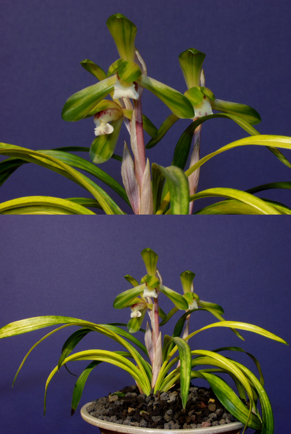 ������ ū������ �� �� �ֽ��ϴ�.