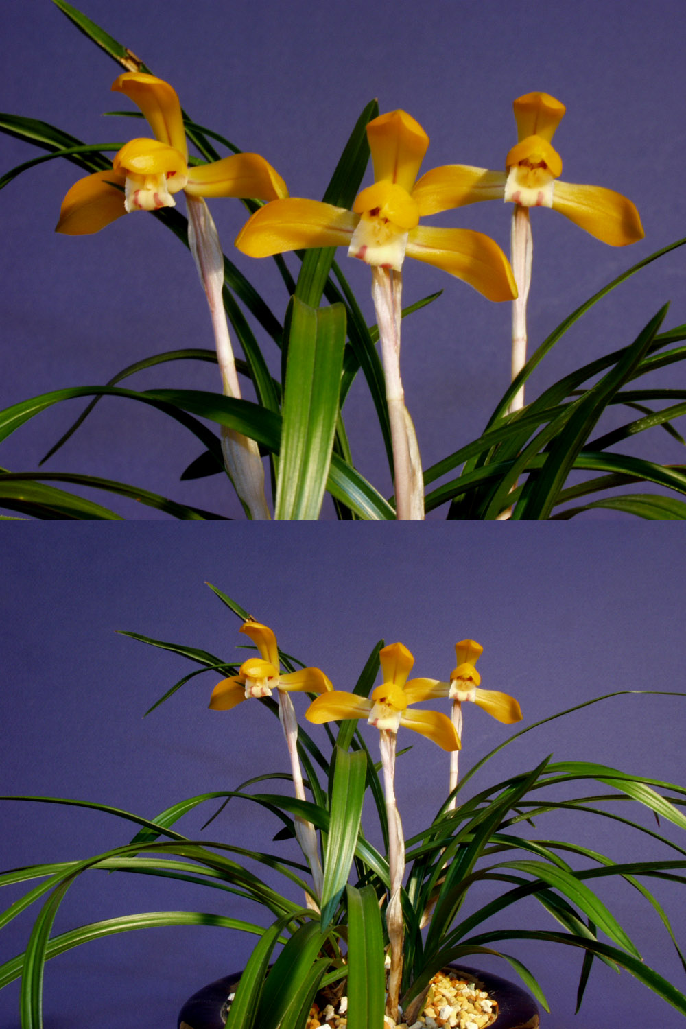 ������ ū������ �� �� �ֽ��ϴ�.