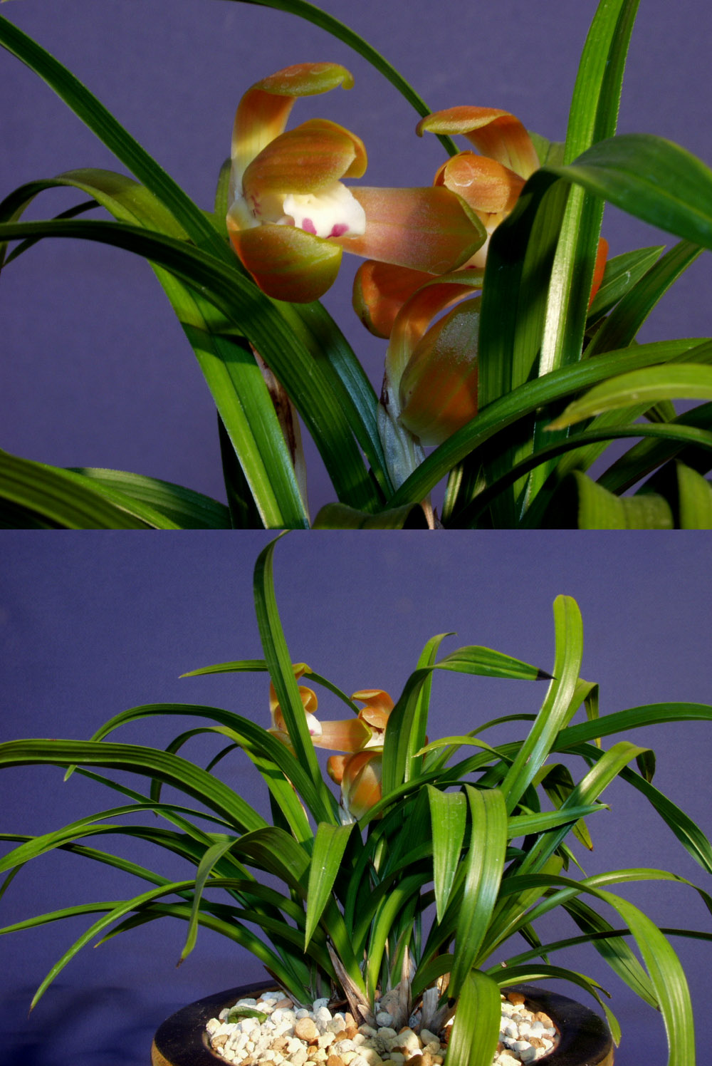 ������ ū������ �� �� �ֽ��ϴ�.