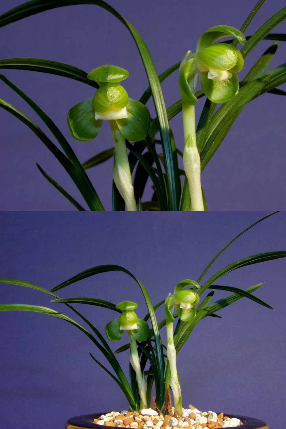 ������ ū������ �� �� �ֽ��ϴ�.