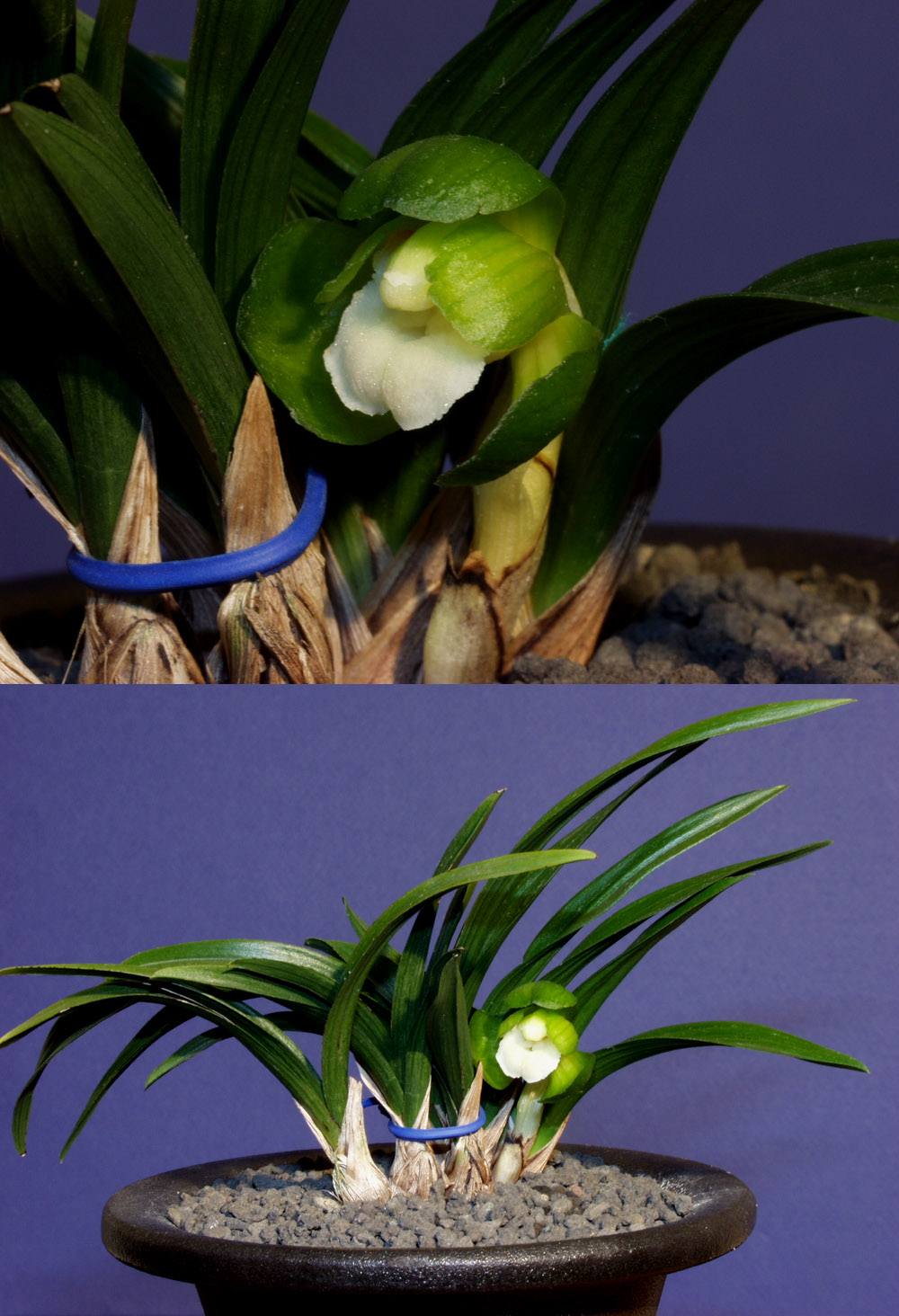 ������ ū������ �� �� �ֽ��ϴ�.