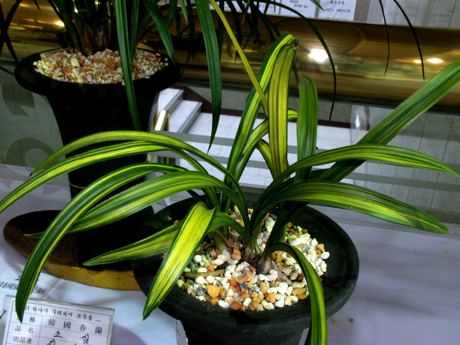 ������ ū������ �� �� �ֽ��ϴ�.