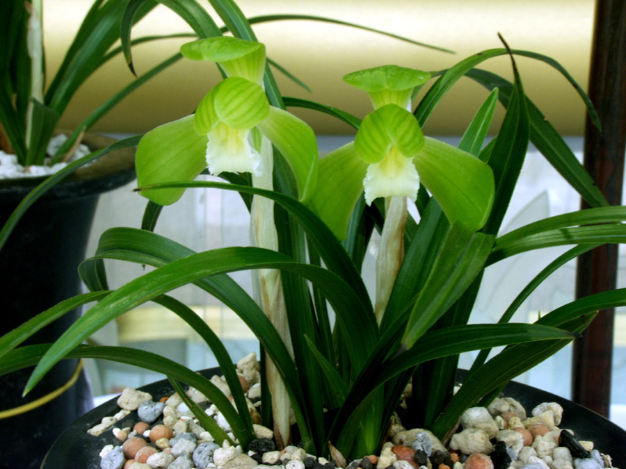 ������ ū������ �� �� �ֽ��ϴ�.