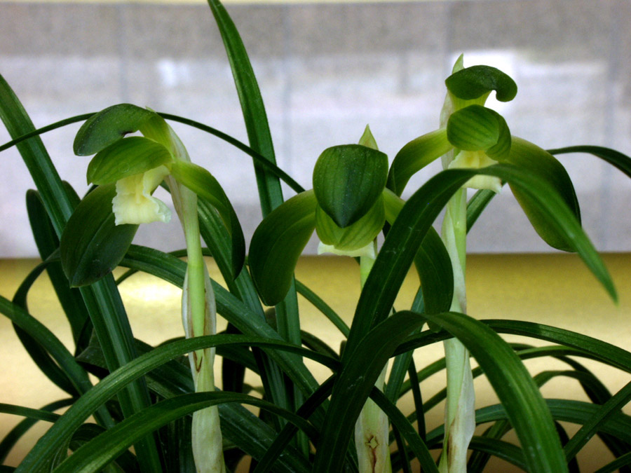 ������ ū������ �� �� �ֽ��ϴ�.