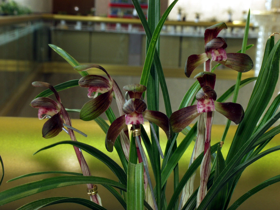 ������ ū������ �� �� �ֽ��ϴ�.