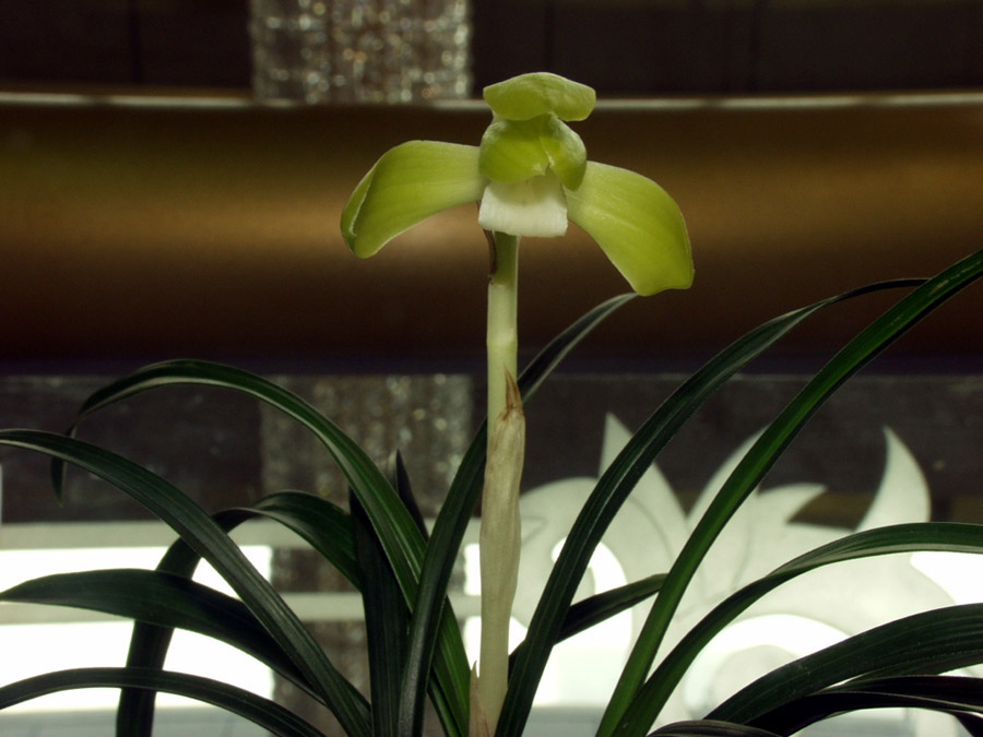 ������ ū������ �� �� �ֽ��ϴ�.