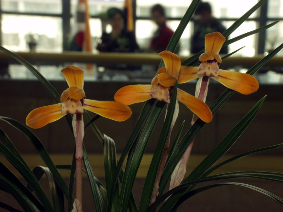 ������ ū������ �� �� �ֽ��ϴ�.