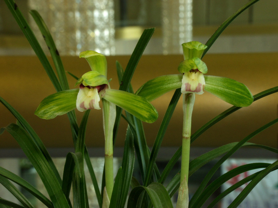 ������ ū������ �� �� �ֽ��ϴ�.