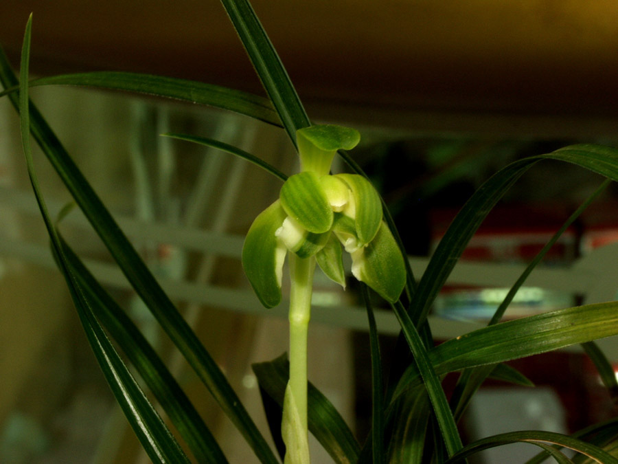 ������ ū������ �� �� �ֽ��ϴ�.