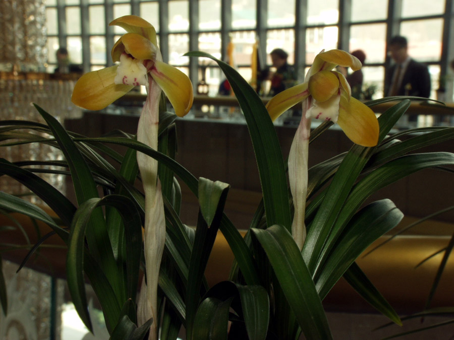 ������ ū������ �� �� �ֽ��ϴ�.