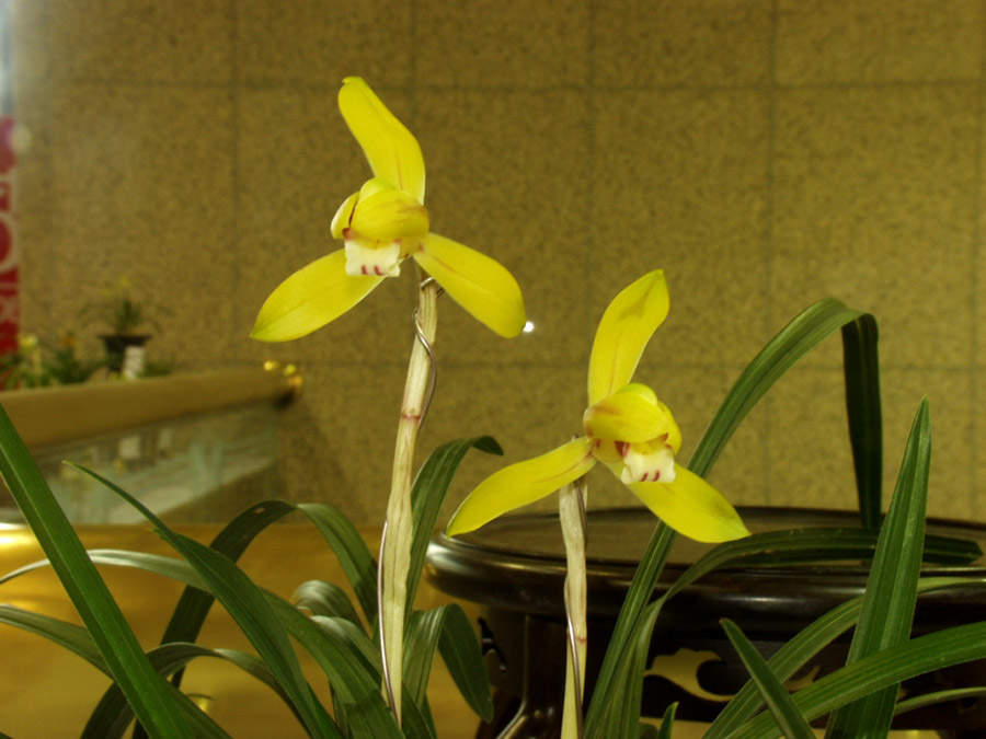 ������ ū������ �� �� �ֽ��ϴ�.