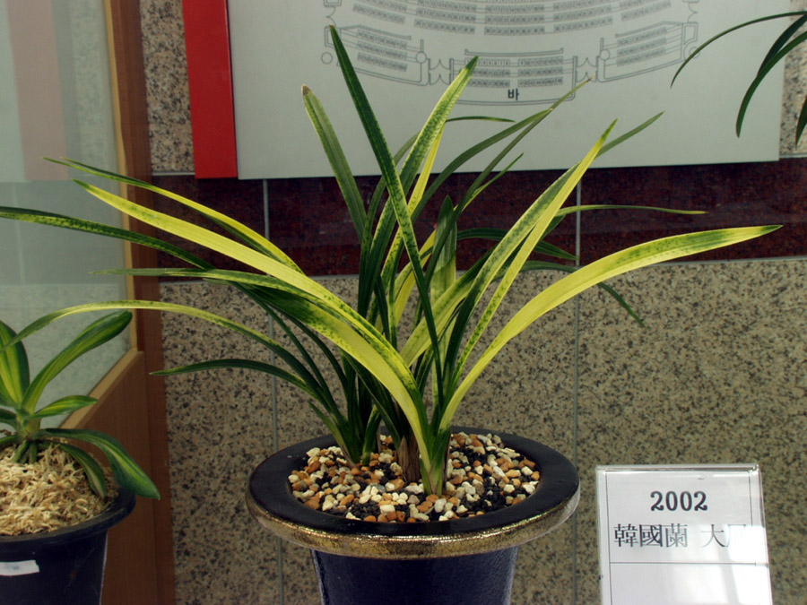 ������ ū������ �� �� �ֽ��ϴ�.