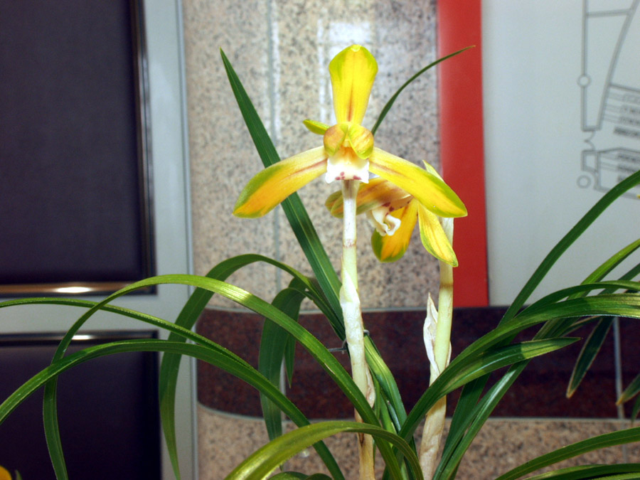 ������ ū������ �� �� �ֽ��ϴ�.