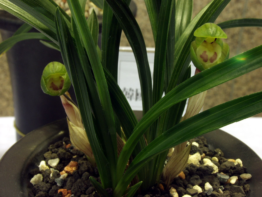 ������ ū������ �� �� �ֽ��ϴ�.