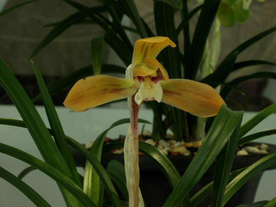 ������ ū������ �� �� �ֽ��ϴ�.