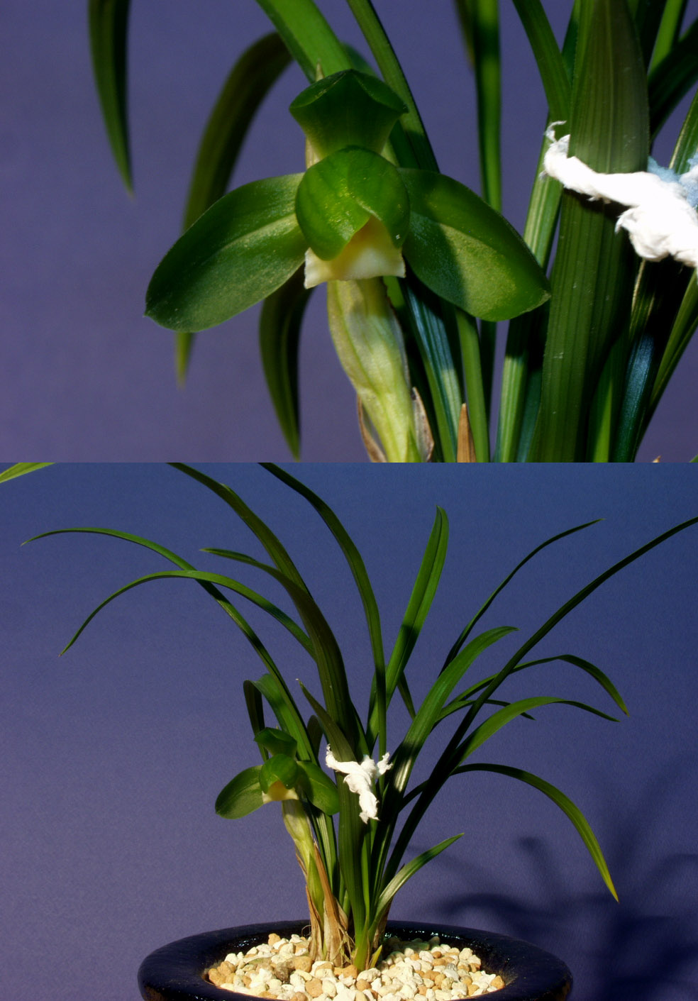 ������ ū������ �� �� �ֽ��ϴ�.