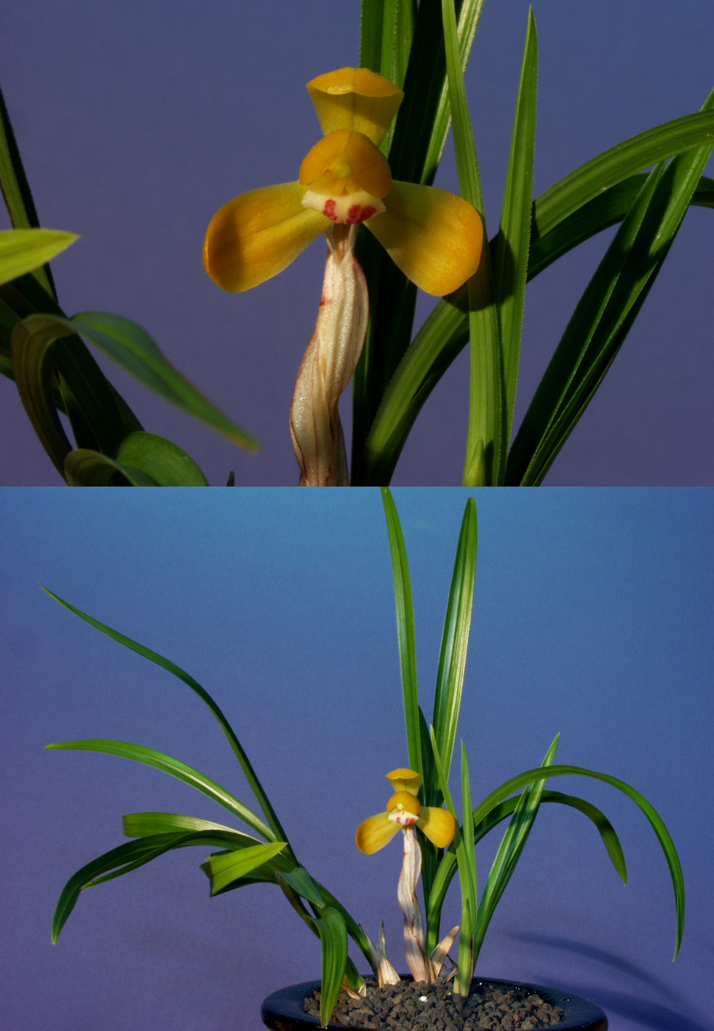 ������ ū������ �� �� �ֽ��ϴ�.