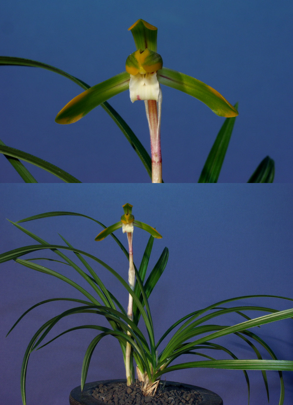 ������ ū������ �� �� �ֽ��ϴ�.