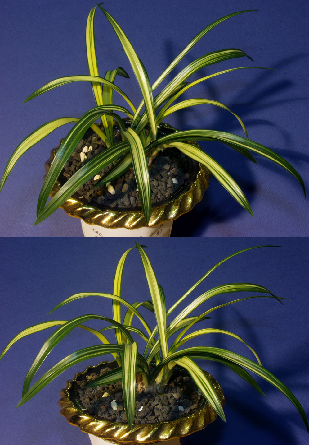 ������ ū������ �� �� �ֽ��ϴ�.