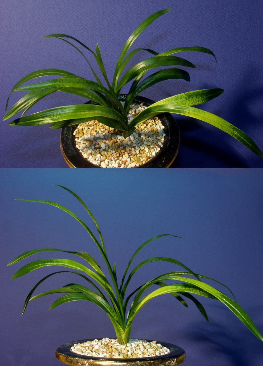 ������ ū������ �� �� �ֽ��ϴ�.