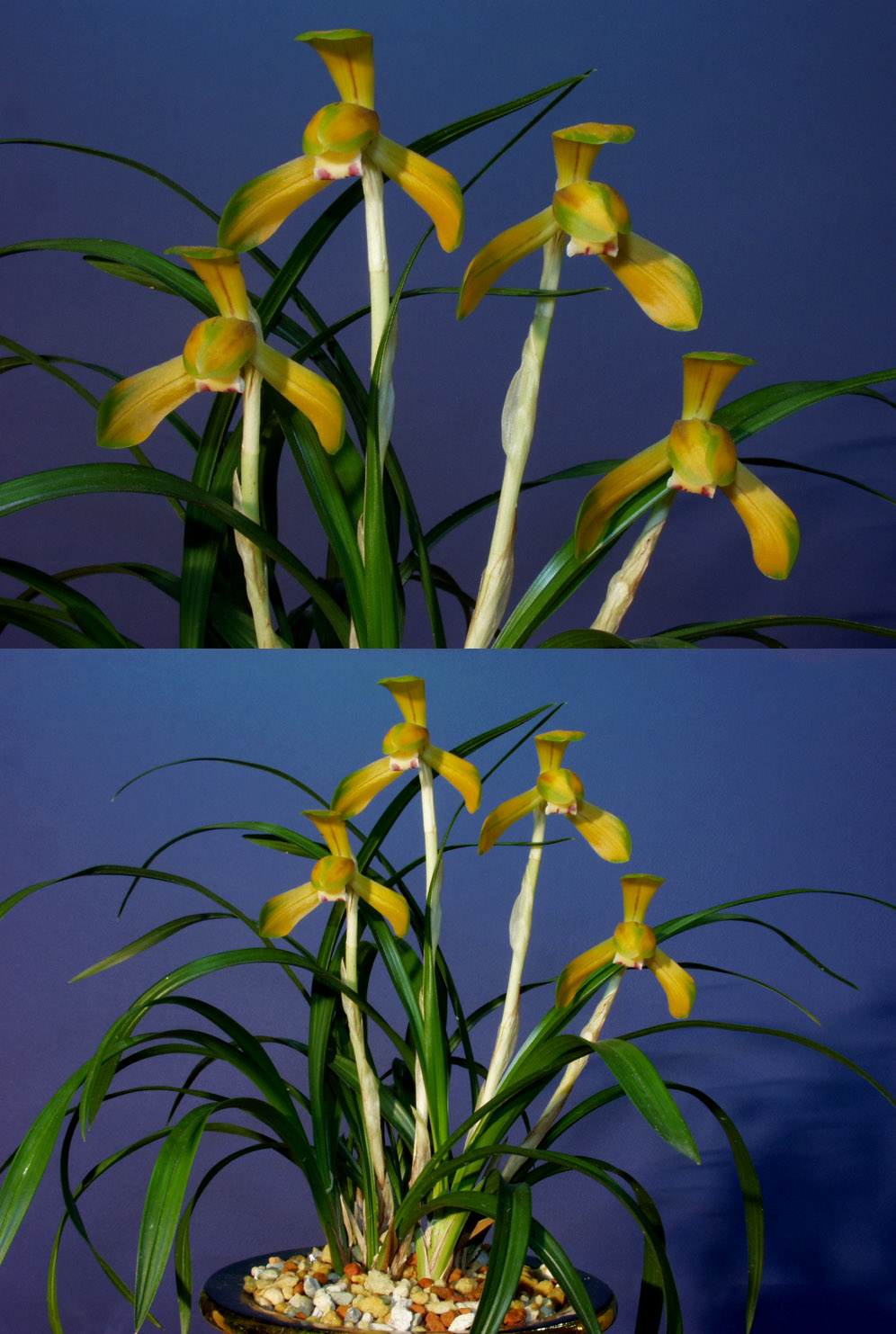 ������ ū������ �� �� �ֽ��ϴ�.