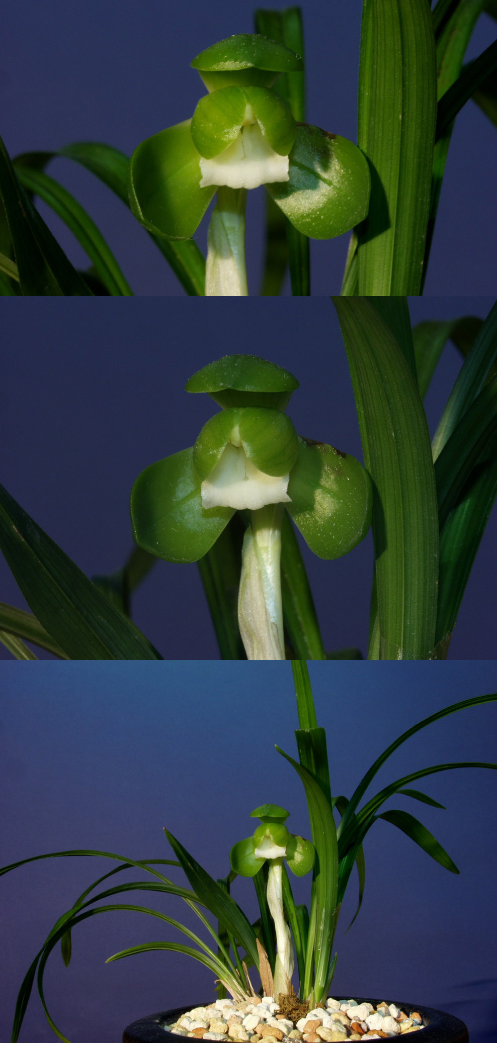 ������ ū������ �� �� �ֽ��ϴ�.