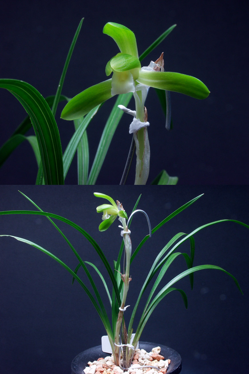 ������ ū������ �� �� �ֽ��ϴ�.