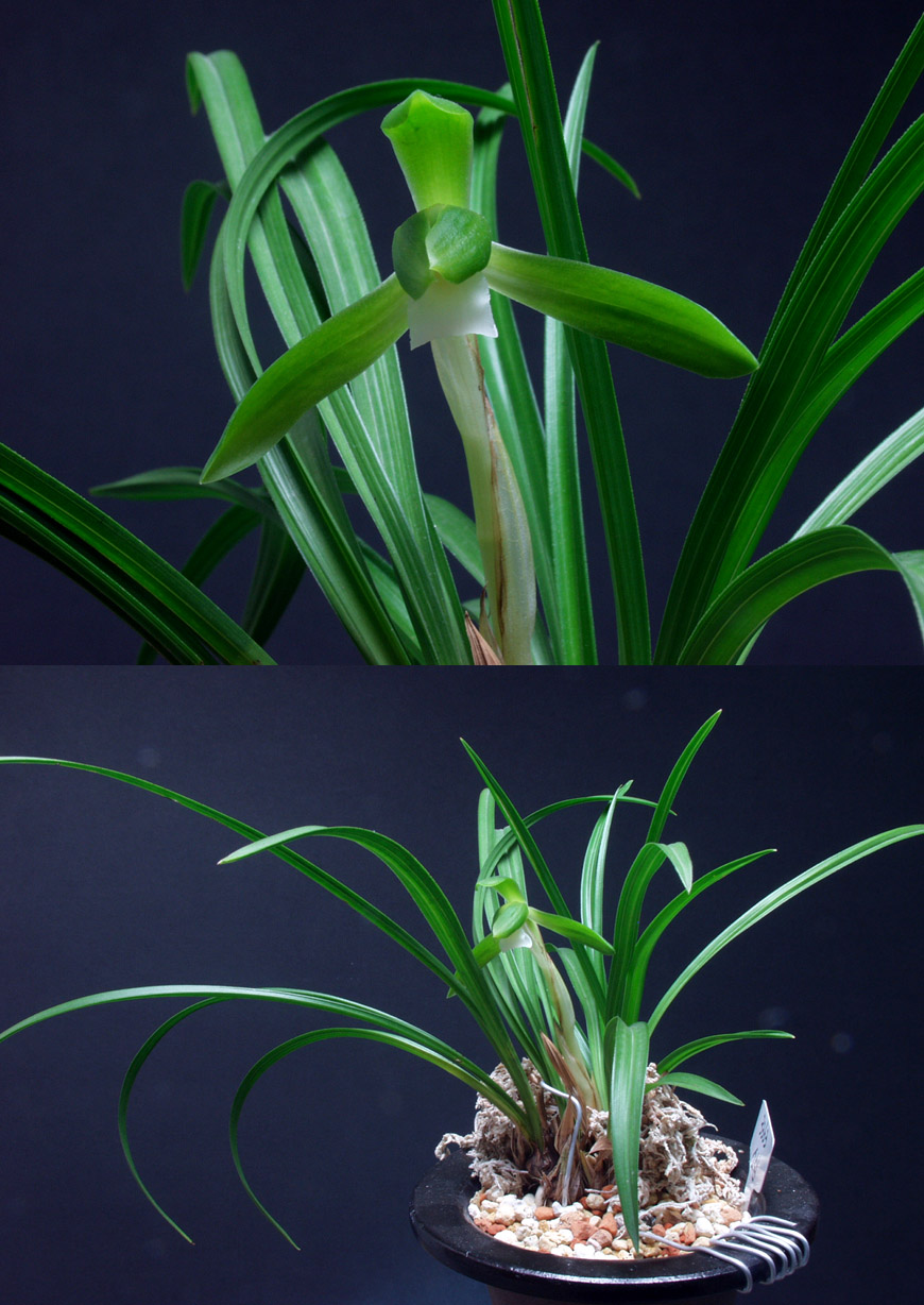 ������ ū������ �� �� �ֽ��ϴ�.