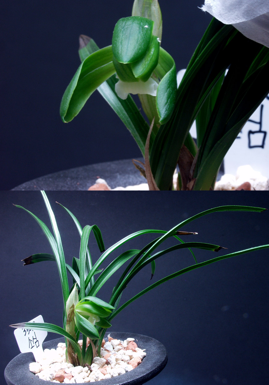 ������ ū������ �� �� �ֽ��ϴ�.