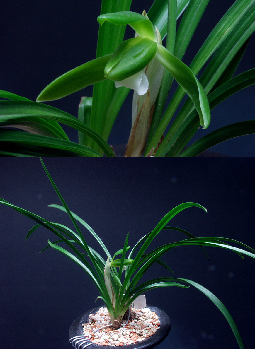 ������ ū������ �� �� �ֽ��ϴ�.