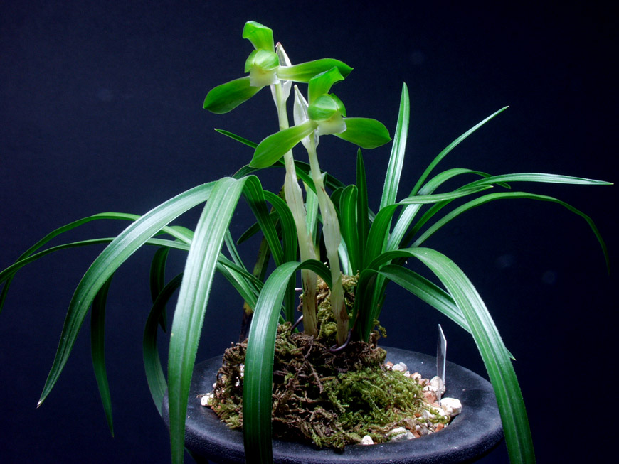 ������ ū������ �� �� �ֽ��ϴ�.