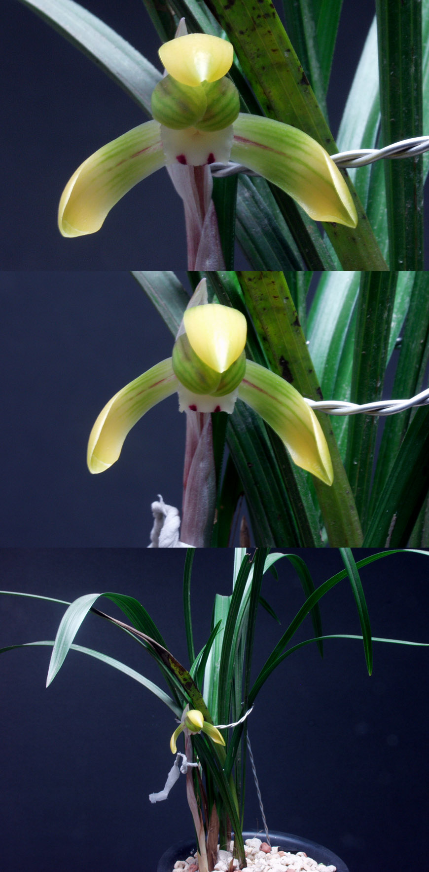 ������ ū������ �� �� �ֽ��ϴ�.