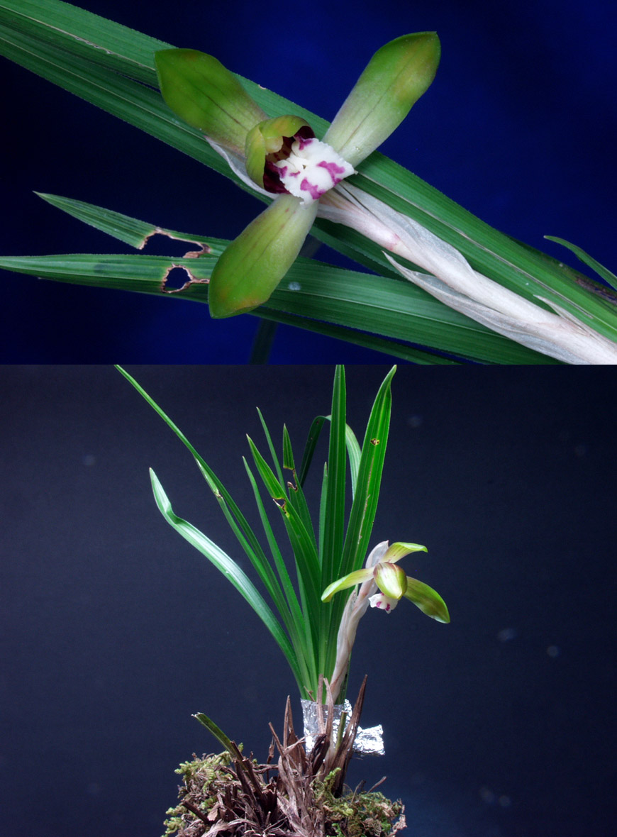 ������ ū������ �� �� �ֽ��ϴ�.