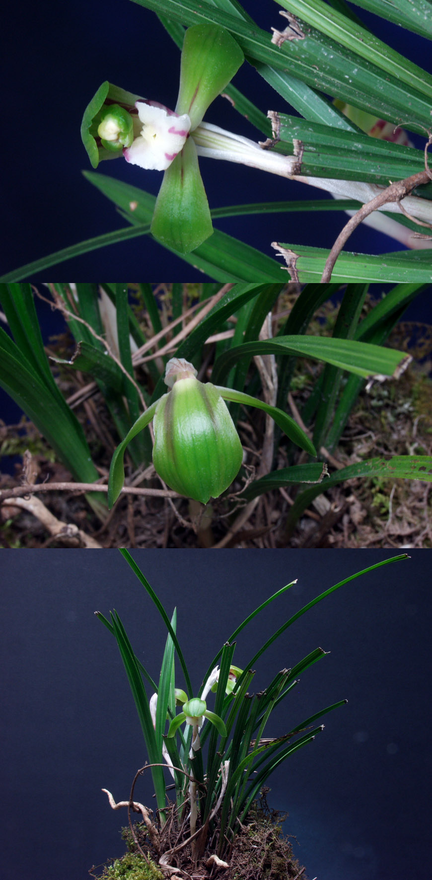 ������ ū������ �� �� �ֽ��ϴ�.