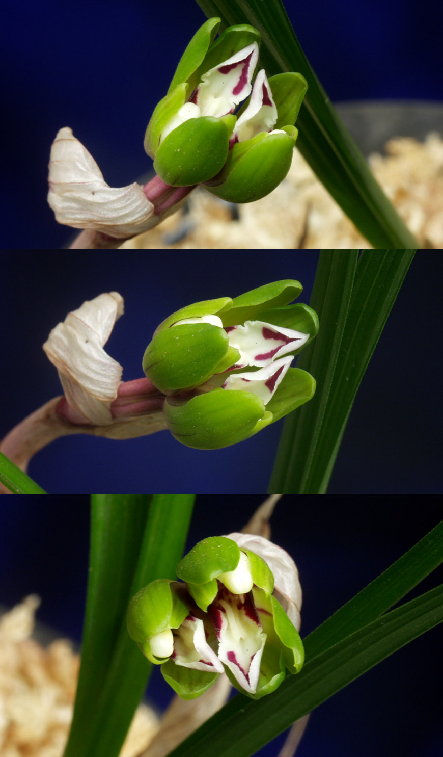 ������ ū������ �� �� �ֽ��ϴ�.