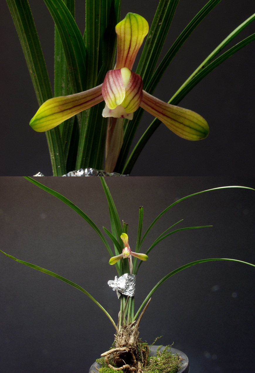 ������ ū������ �� �� �ֽ��ϴ�.