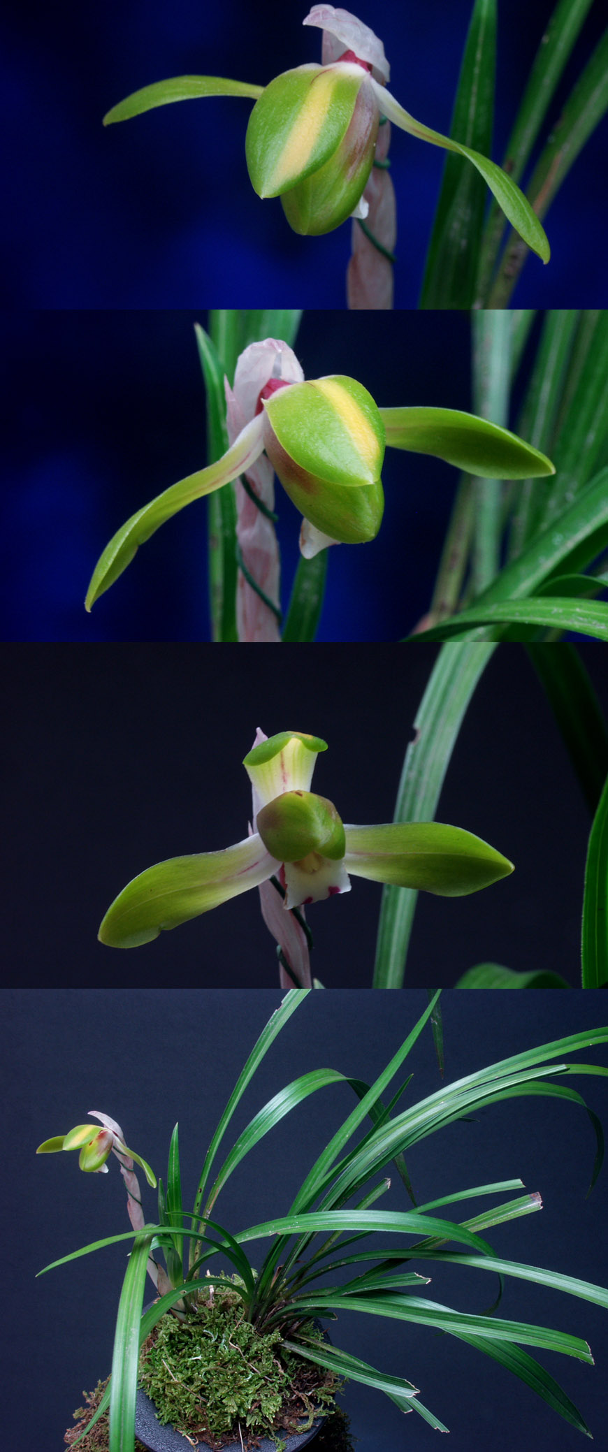 ������ ū������ �� �� �ֽ��ϴ�.