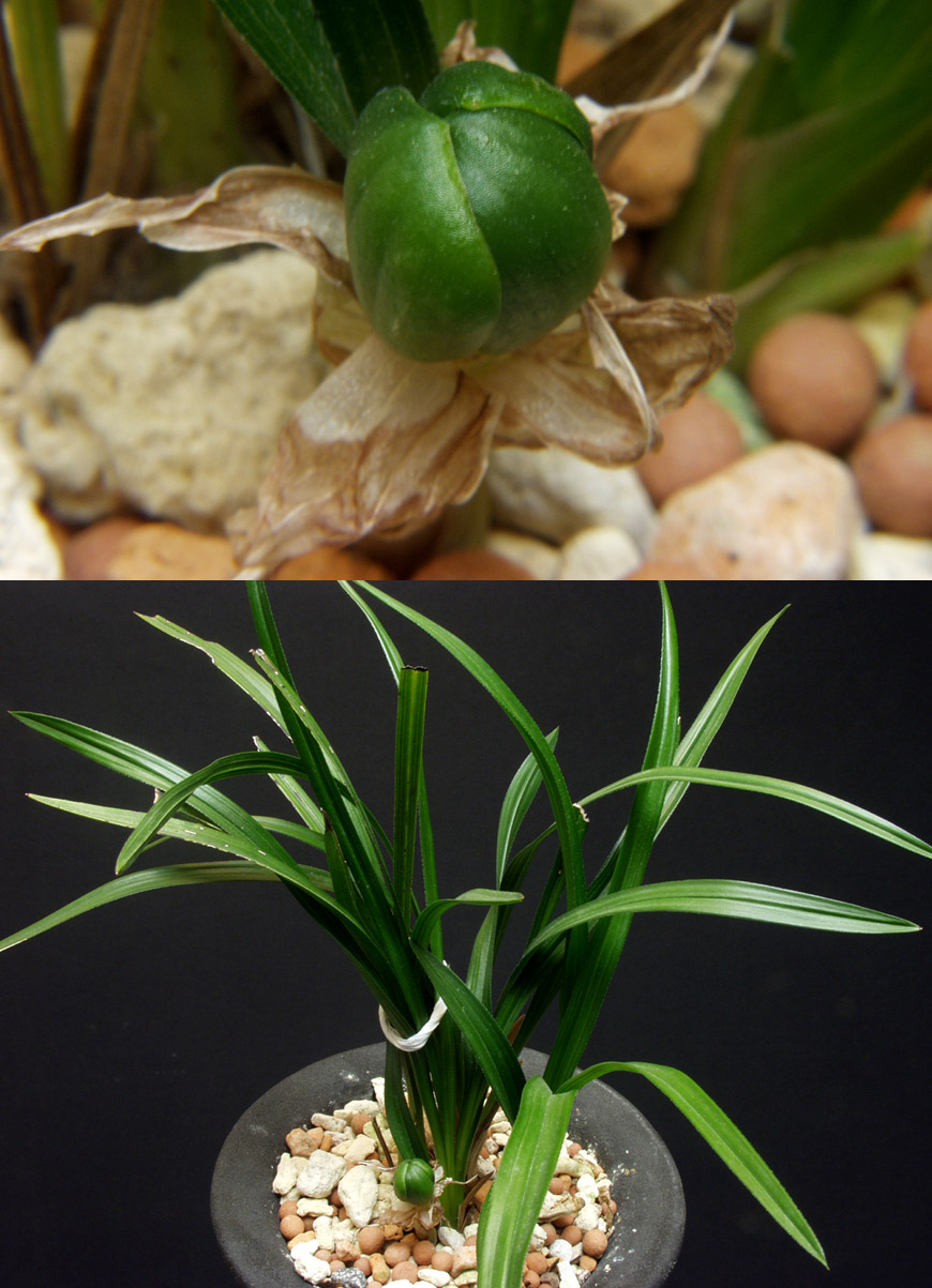 ������ ū������ �� �� �ֽ��ϴ�.