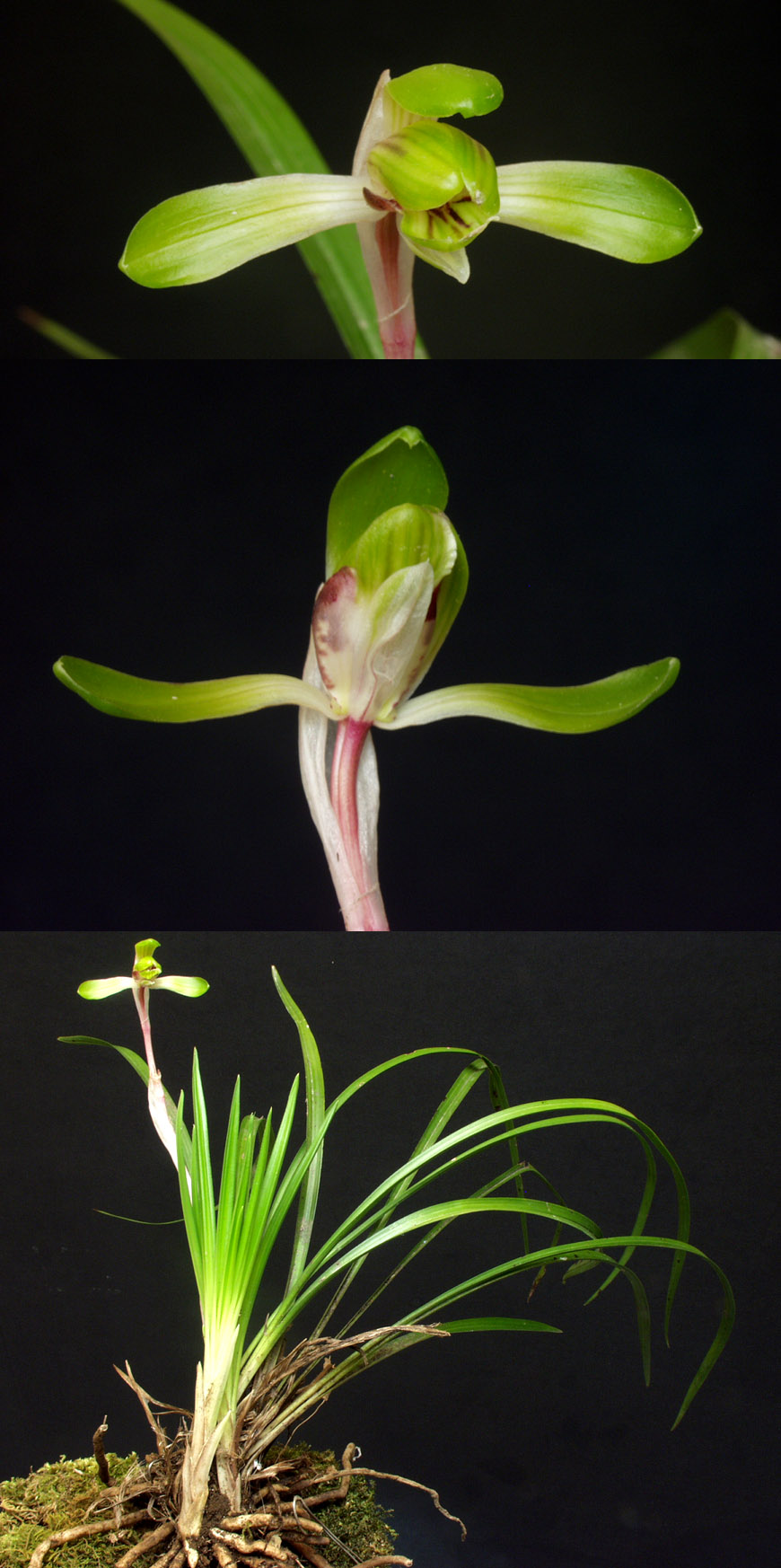 ������ ū������ �� �� �ֽ��ϴ�.