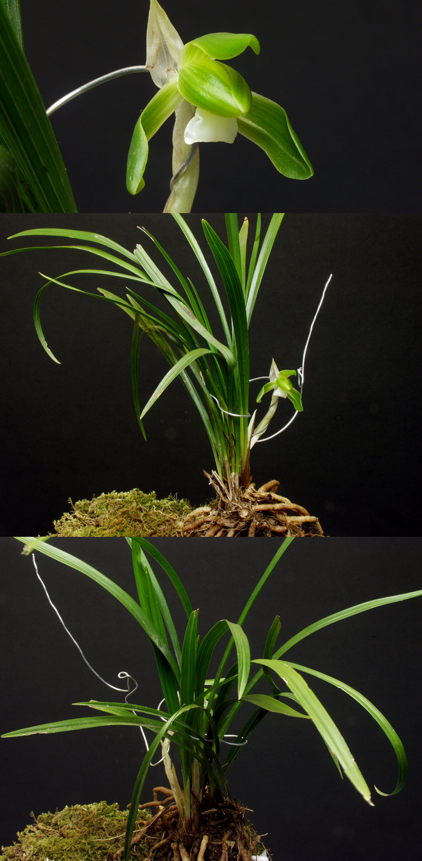 ������ ū������ �� �� �ֽ��ϴ�.