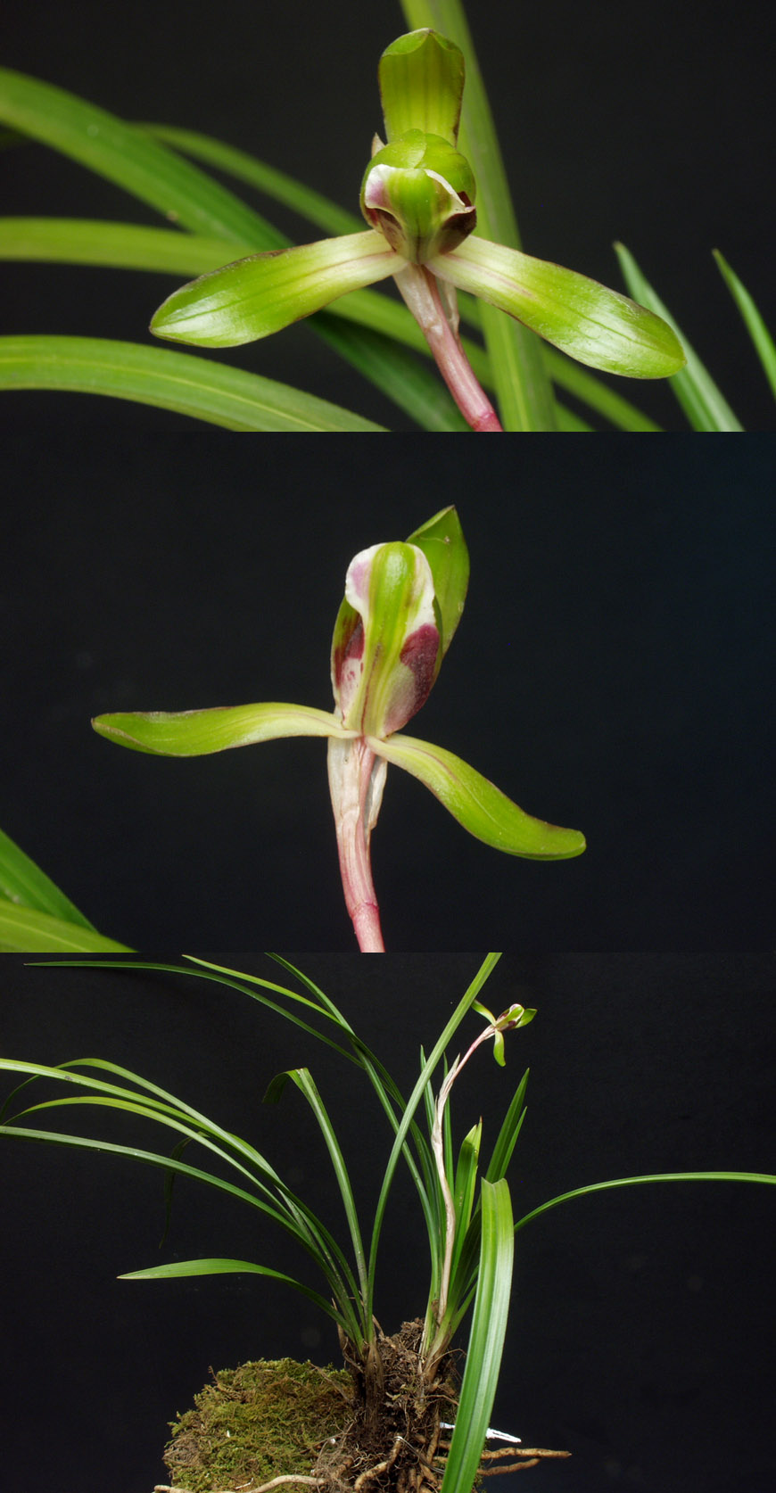 ������ ū������ �� �� �ֽ��ϴ�.