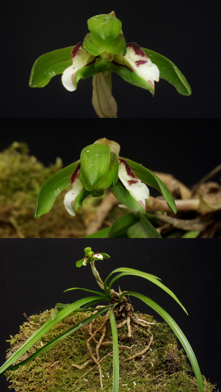 ������ ū������ �� �� �ֽ��ϴ�.