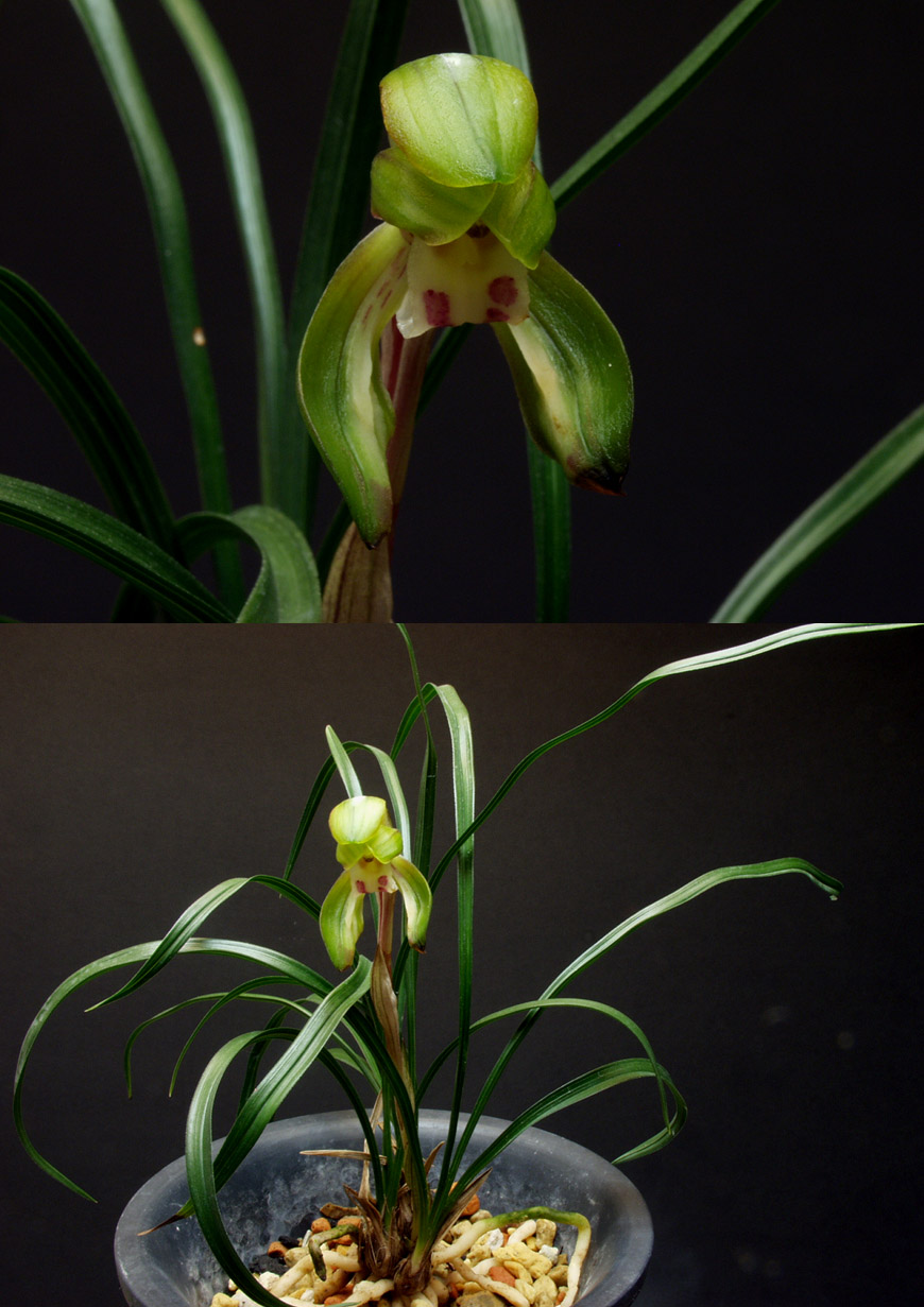 ������ ū������ �� �� �ֽ��ϴ�.