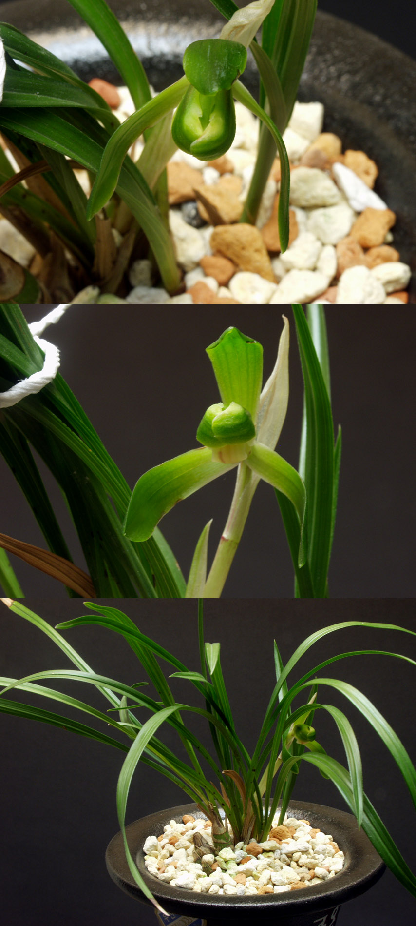 ������ ū������ �� �� �ֽ��ϴ�.