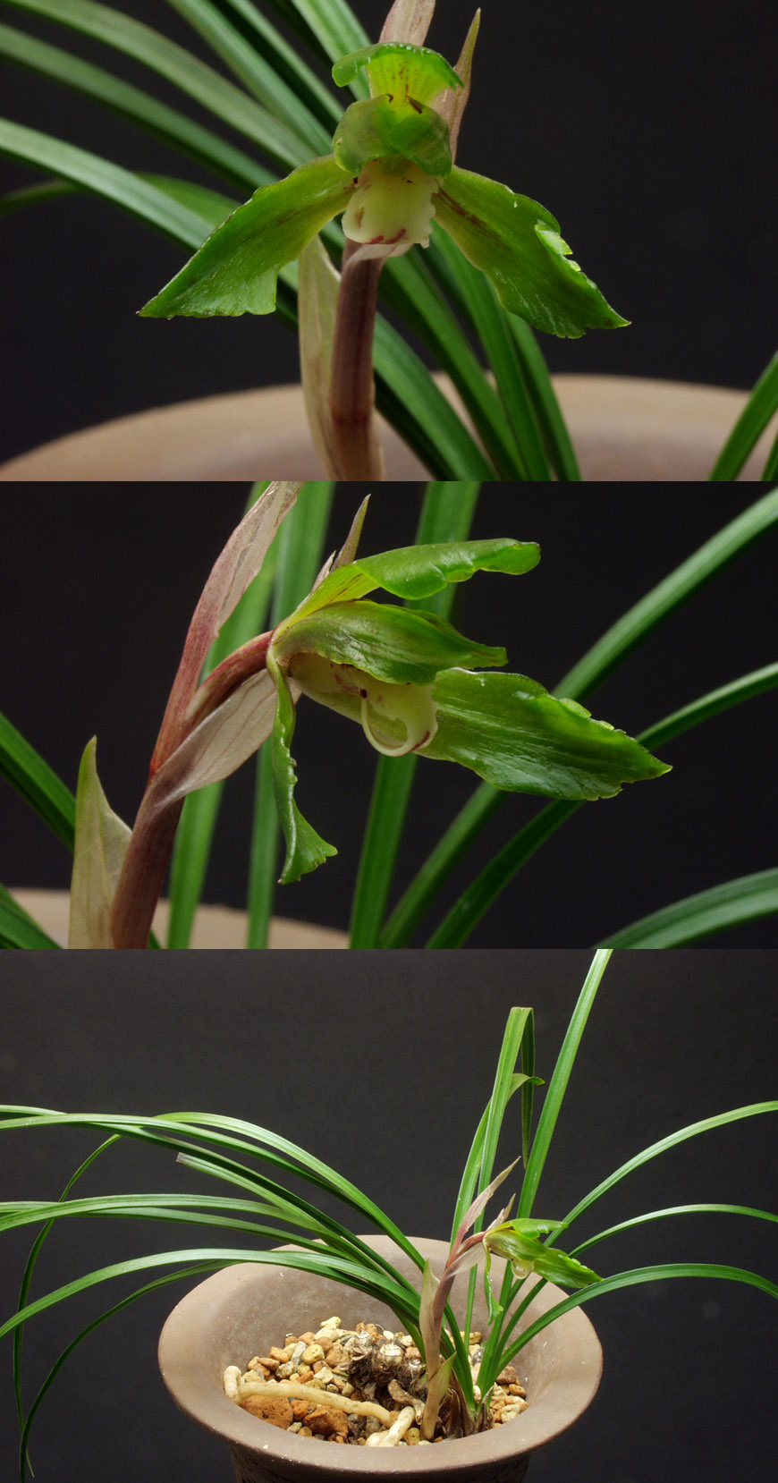 ������ ū������ �� �� �ֽ��ϴ�.