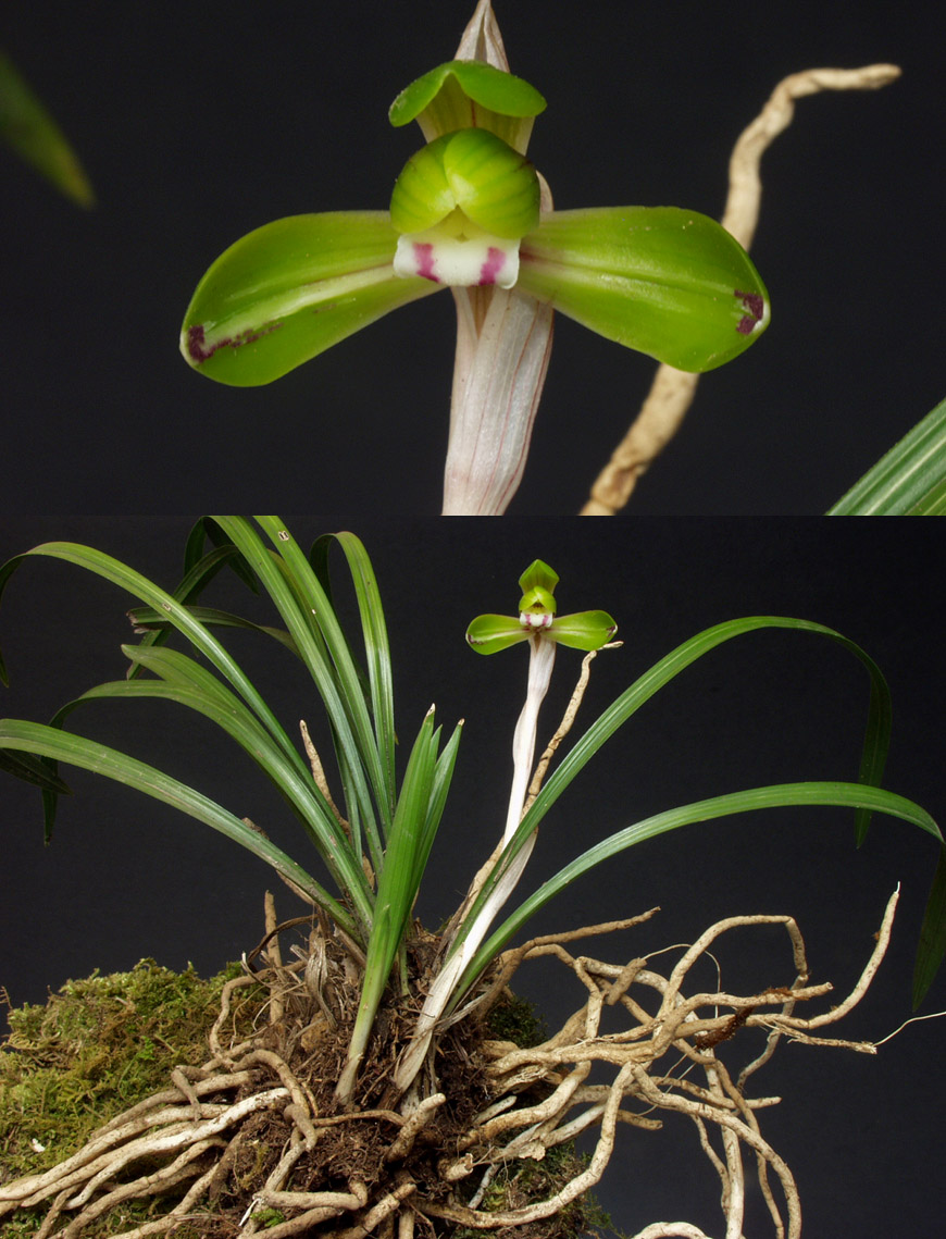 ������ ū������ �� �� �ֽ��ϴ�.