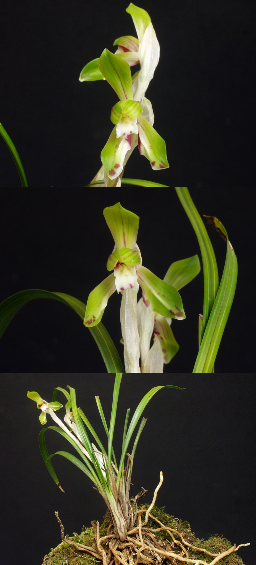 ������ ū������ �� �� �ֽ��ϴ�.