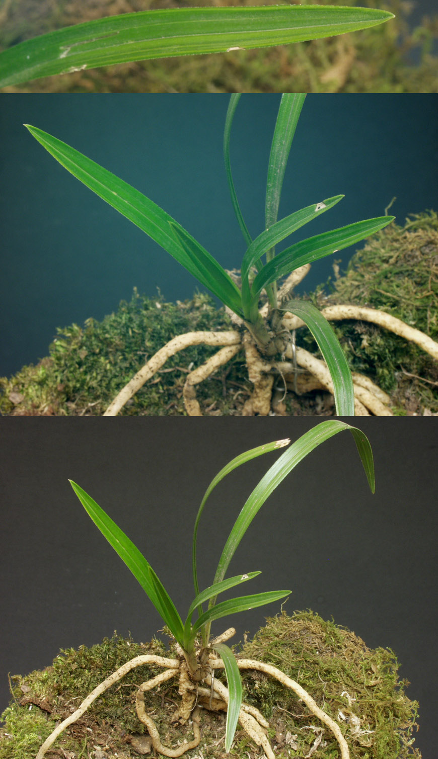 ������ ū������ �� �� �ֽ��ϴ�.